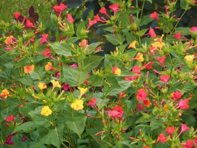 Photo4.jpg