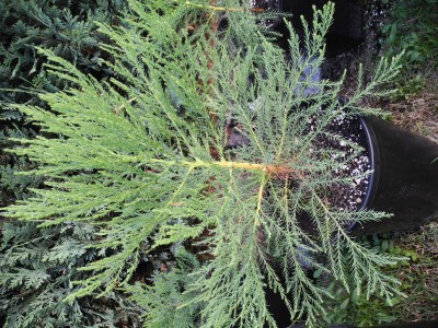 DSCN1222.JPG