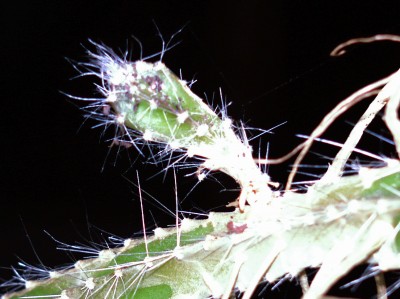 bilder kamera 027.jpg