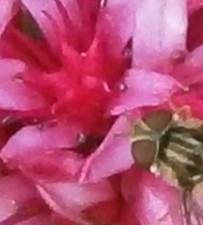 P7120407 - Kopie.JPG