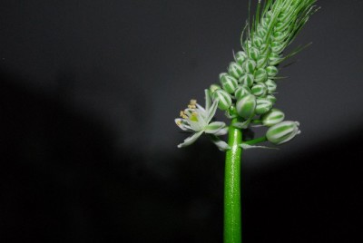 Balkon213 17208yy.jpg