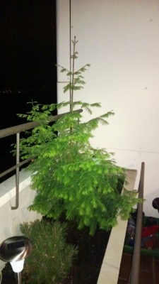 WP_2013 (360x640).jpg