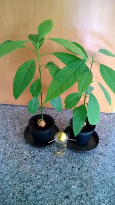 WP_20130829_013.jpg