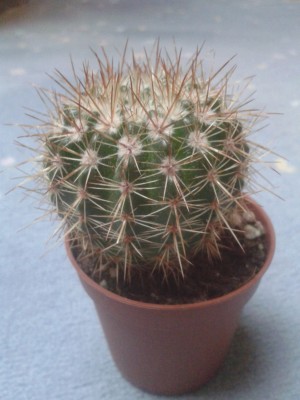 20130824_192454 klein.jpg