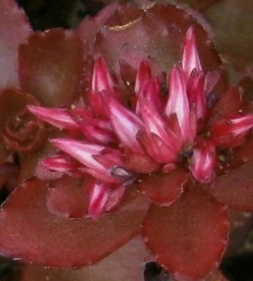 P7120407 - Kopie.JPG