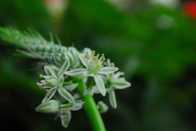 Balkon213 17215yy.jpg