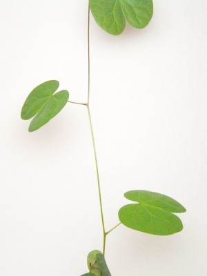 PICT0428.jpg