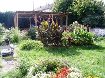 PICT0326.JPG