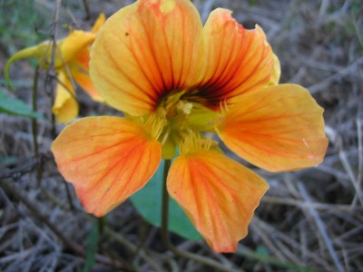 Bild 039.jpg