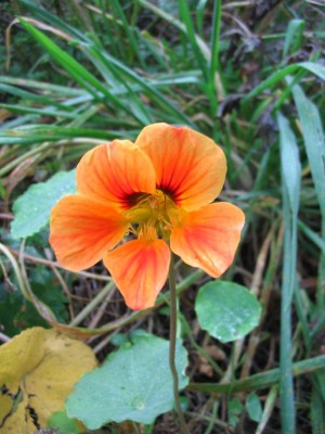 Bild 038.jpg