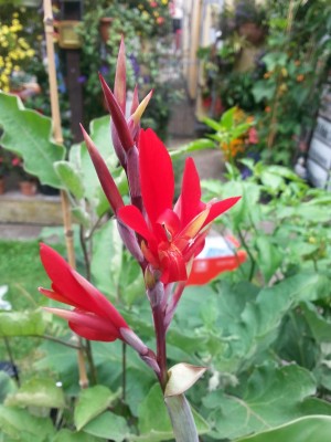 20130903_121009.jpg