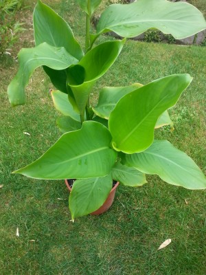 20130903_143428.jpg