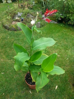 20130903_143407.jpg