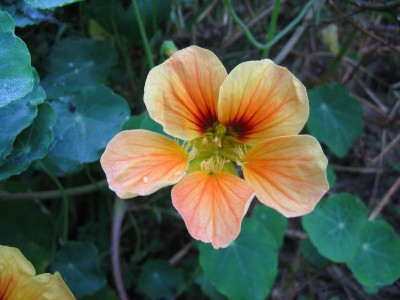 Bild 033.jpg