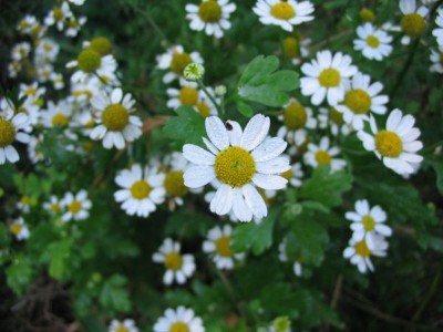Bild 032.jpg