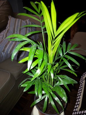 20130904_094821.jpg