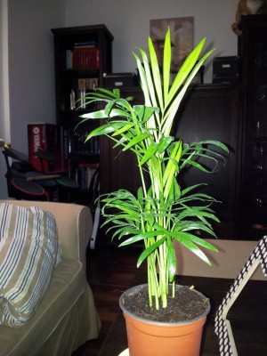 20130904_094740.jpg