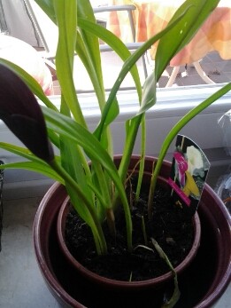 20130904_150822.jpg