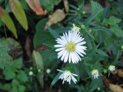 Bild 079.jpg