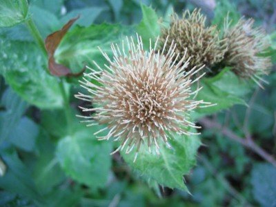 Bild 078.jpg