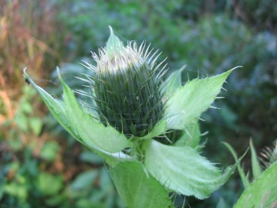 Bild 074.jpg