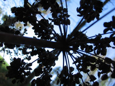 Bild 067.jpg
