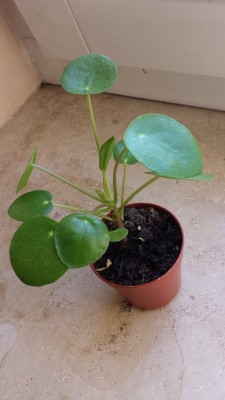 20130905_151649.jpg