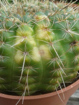 20130901_180033 klein.jpg