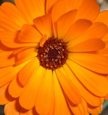 CIMG1505 - Kopie.JPG