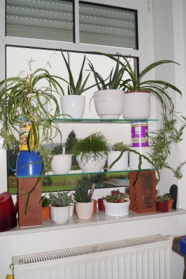 Fensterbank Büro.jpg