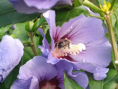 2013-09-08 16.44.28.jpg