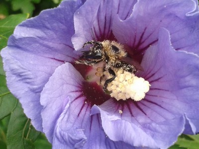 2013-09-08 16.53.09.jpg