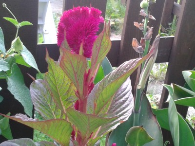 2013-09-08 16.49.48.jpg