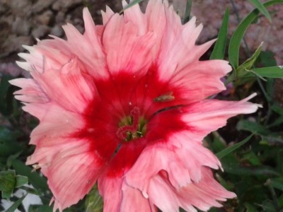 2013-09-08 19.11.09.jpg