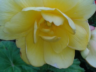 2013-09-08 19.10.44.jpg