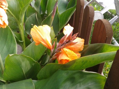 2013-09-08 16.50.43.jpg