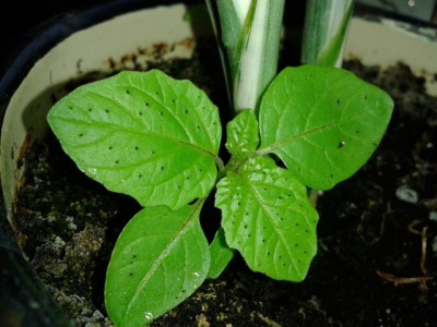 20130911_123458.jpg
