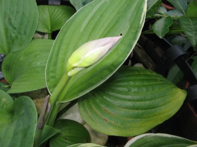 September 2013 003.JPG