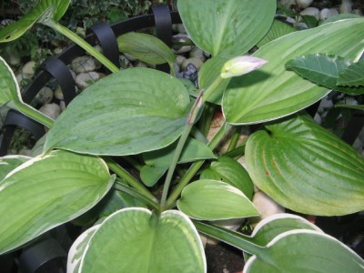 September 2013 009.JPG