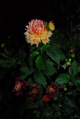 Balkon213 17260yy.jpg