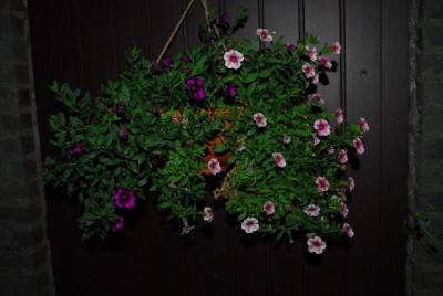 Balkon213 17259yy.jpg