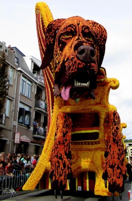 sommer-2013-105.jpg