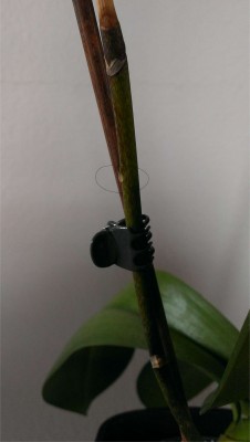 IMAG0434.jpg