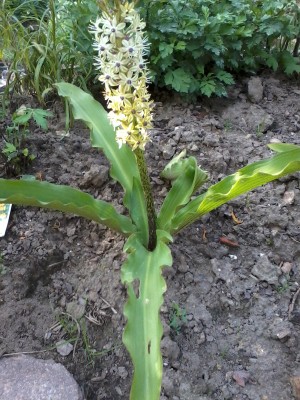 2013-09-13 16.17.13.jpg