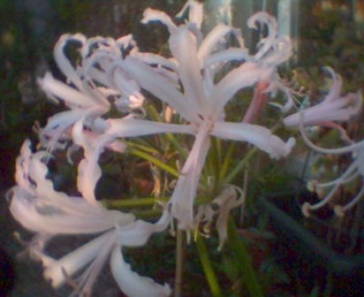 071017_085809.jpg