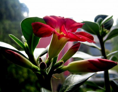 2013-Herbst-003.jpg