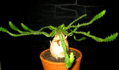 2013-Herbst-00588.jpg