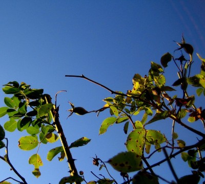 2013-Herbst-00599.jpg
