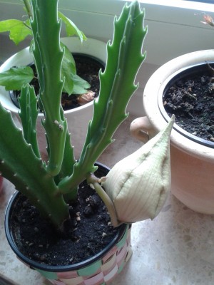 2013-09-18 10.18.46.jpg