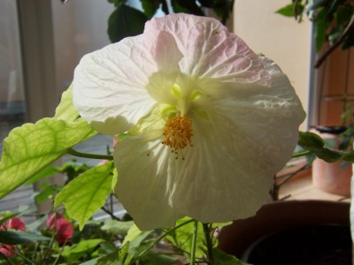 Bild 008.jpg